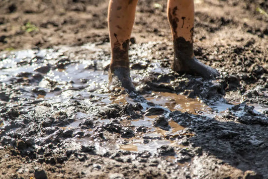 Farm Life Lesson #2: Poop Happens — Literally and Figuratively