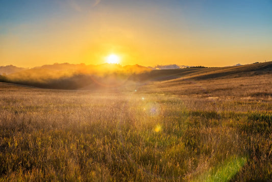 Farm Life Lesson #1: Sunrises Are Better When You Earn Them