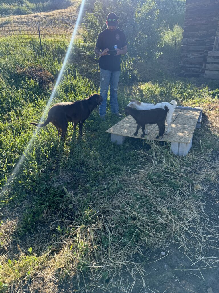 Farm Life Lesson #4: Animals Will Humble You (Fast)
