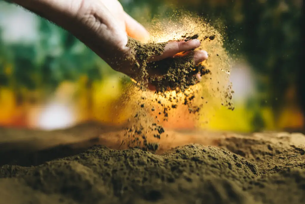Agri-Future: Top Agricultural Innovations Shaping U.S. Farming Today