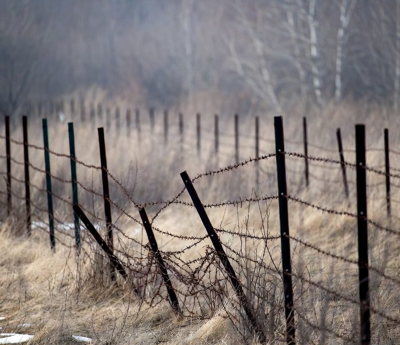 How to Spot and Fix Common Fence Issues After Utah Snow and Wind Storms