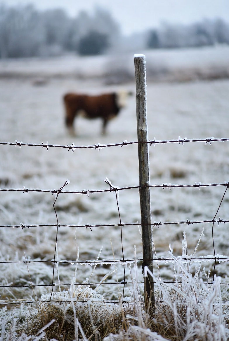 How to Spot and Fix Common Fence Issues After Utah Snow and Wind Storms fix fence